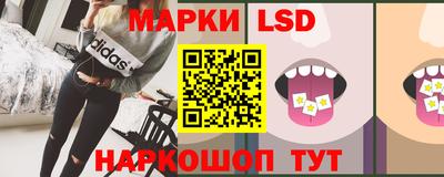 стаф Гатчина