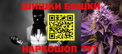 стаф Гатчина