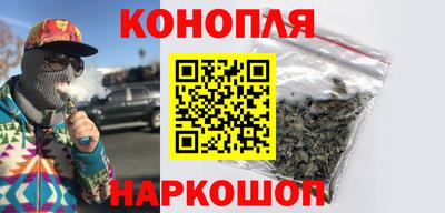 стаф Гатчина