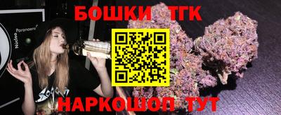 стаф Гатчина