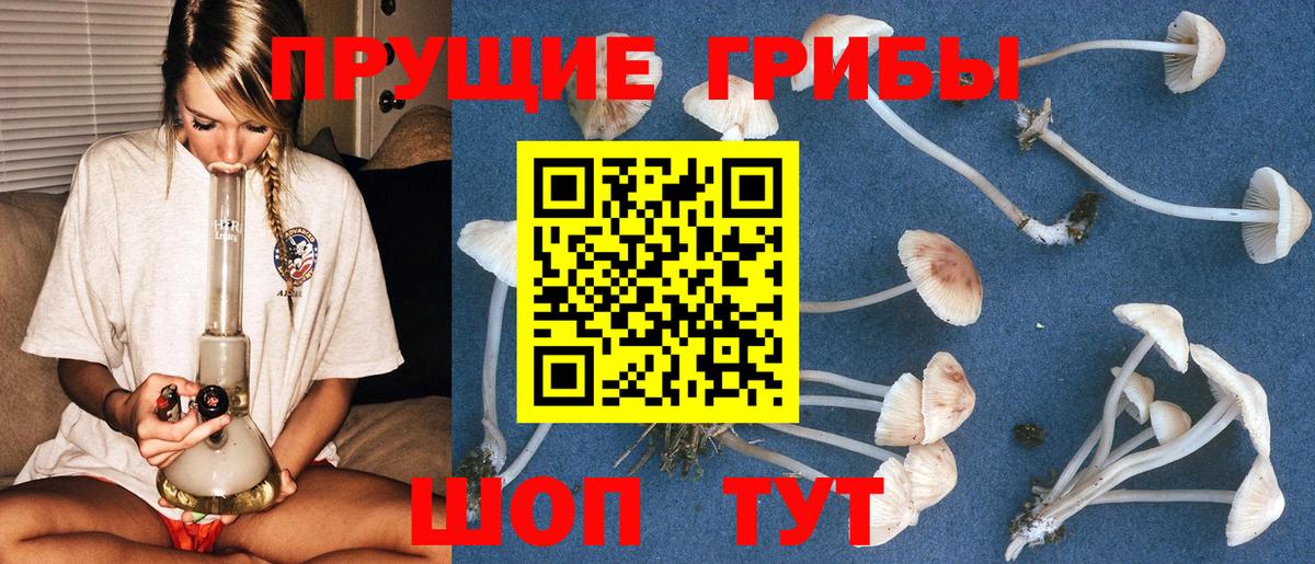 Галлюциногенные грибы мицелий  Псилоцибиновые грибы Magic Shrooms  Вход с VPN  Псков 