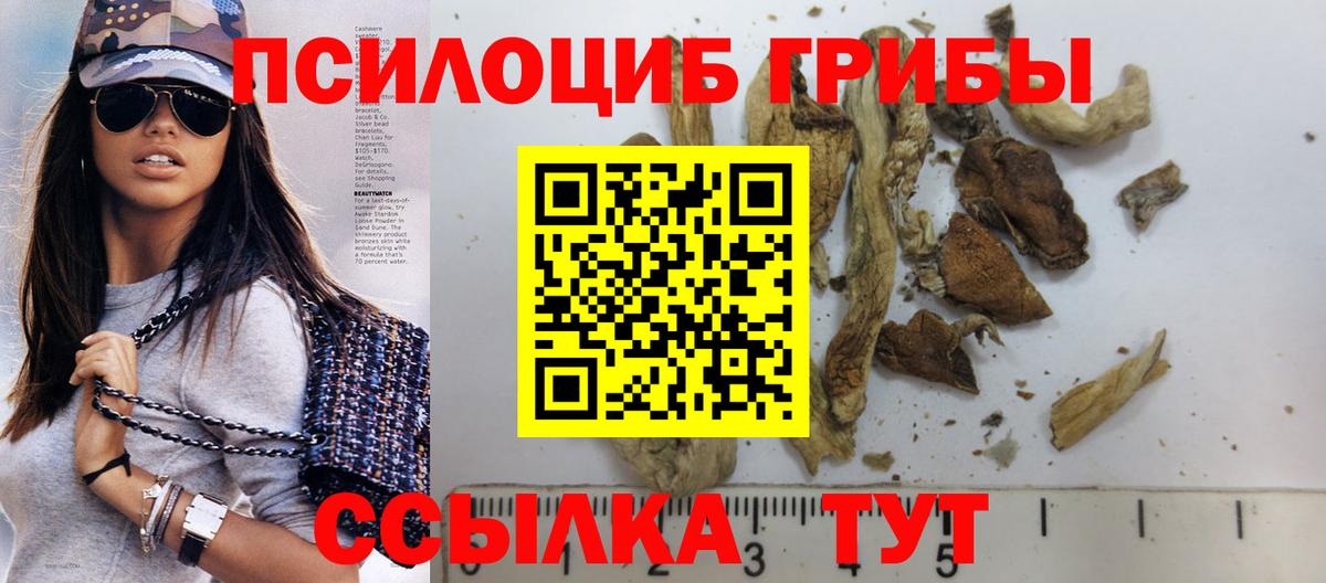 Псилоцибиновые грибы GOLDEN TEACHER Псков